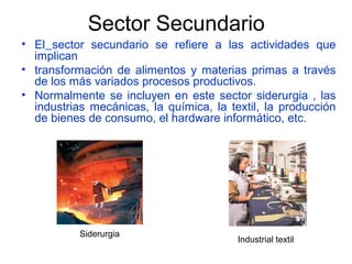 Sector Secundario
• El sector secundario se refiere a las actividades que
  implican
• transformación de alimentos y materias primas a través
  de los más variados procesos productivos.
• Normalmente se incluyen en este sector siderurgia , las
  industrias mecánicas, la química, la textil, la producción
  de bienes de consumo, el hardware informático, etc.




           Siderurgia
                                         Industrial textil
 