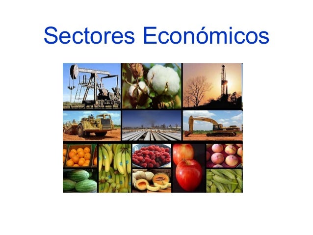 SECTOR ECONÓMICO