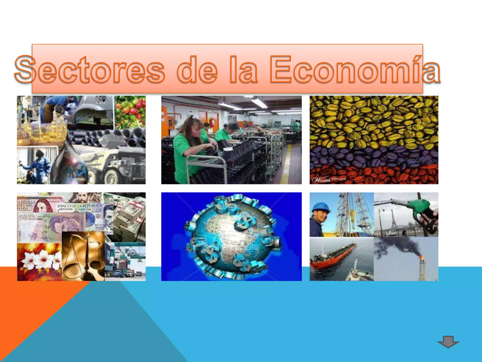 Sectores economicos en colombia