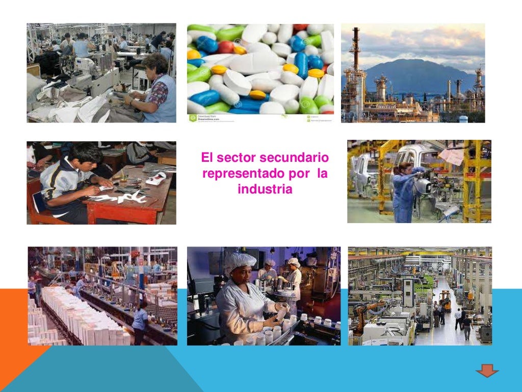 Sectores economicos en colombia