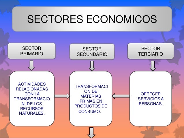 Sectores economicos