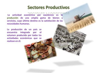 Sectores Productivos  La actividad económica por excelencia es la producción de una amplia gama de bienes y servicios, cuyo último destino es la satisfacción de las necesidades humanas. La producción de un país se encuentra integrada por el volumen producido por todas las actividades económicas que se realizan en él. 