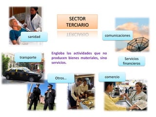 SECTOR TERCIARIOcomunicacionessanidadEngloba las actividades que no producen bienes materiales, sino servicios. transporteServicios financieroscomercioOtros…