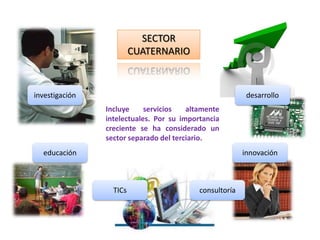 SECTOR CUATERNARIOinvestigacióndesarrolloIncluye servicios altamente intelectuales. Por su importancia creciente se ha considerado un sector separado del terciario.educacióninnovaciónTICsconsultoría