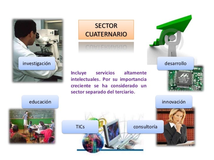 Sectores Productivos Sectores Productivos