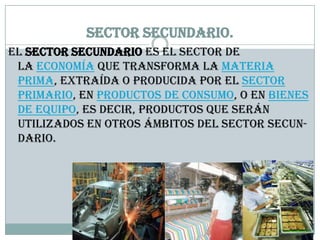 Sector secundario.
El sector secundario es el sector de
 la economía que transforma la materia
 prima, extraída o producida por el sector
 primario, en productos de consumo, o en bienes
 de equipo, es decir, productos que serán
 utilizados en otros ámbitos del sector secun-
 dario.
 