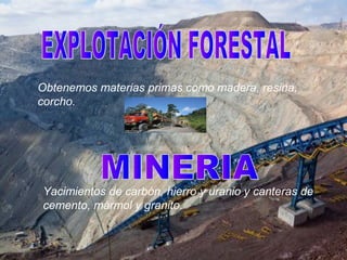 Obtenemos materias primas como madera, resina,
corcho.




Yacimientos de carbón, hierro y uranio y canteras de
cemento, m...