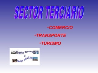 •COMERCIO
•TRANSPORTE
 •TURISMO
 