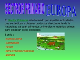 El Sector Primario está formado por aquellas actividades
que se dedican a obtener productos directamente de la
naturaleza ...
