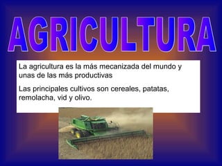 La agricultura es la más mecanizada del mundo y
unas de las más productivas
Las principales cultivos son cereales, patatas...