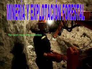 No son muy importantes.
 