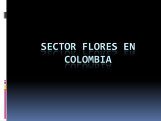 SECTOR FLORES EN
    COLOMBIA
 