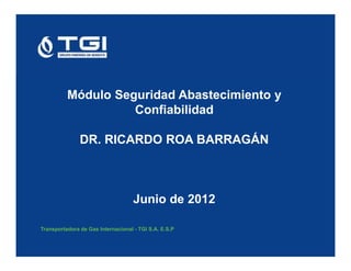 Módulo Seguridad Abastecimiento y
                    Confiabilidad

               DR. RICARDO ROA BARRAGÁN



                                    Junio de 2012

Transportadora de Gas Internacional - TGI S.A. E.S.P
 