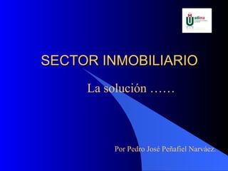 SECTOR INMOBILIARIO La solución …… Por Pedro José Peñafiel Narváez. 