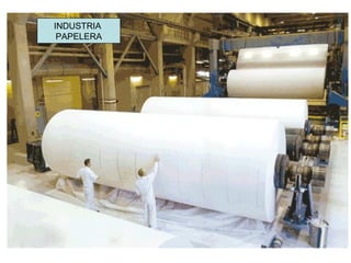 INDUSTRIA  PAPELERA 