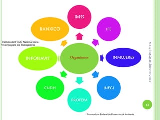 Instituto del Fondo Nacional de la




                                                                                       M.I.A. OMAR JUÁREZ RIVERA
Vivienda para los Trabajadores




                                                                                      13

                                     Procuraduria Federal de Proteccion al Ambiente
 