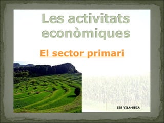 El sector primari
 