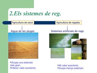 2.Els sistemes de reg. Agricultura de secà  Agricultura de regadiu   Aigua de les pluges   Sistemes artificials de regs   Ocupa una extensió  més gran. Inferior valor econòmic. Alt valor econòmic. Ocupa menys extensió. 
