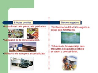 Efectes positius  Efectes negatius  Abaratiment dels preus dels productes. Agilització de la comercialització. Utilització de transports especialitzats. Contaminació del sòl i les aigües a  causa dels fertilitzants. Situació de desavantatge dels  productes dels països pobres  en quant a competitivitat. 
