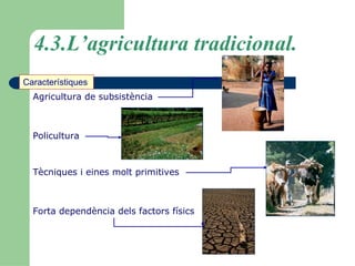 4.3.L’agricultura tradicional. Característiques  Agricultura de subsistència  Policultura   Tècniques i eines molt primitives   Forta dependència dels factors físics   
