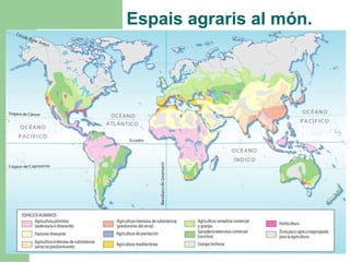 Espais agraris al món. 