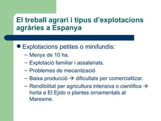 El treball agrari i tipus d’explotacions agràries a Espanya Explotacions petites o minifundis: Menys de 10 ha. Explotació familiar i assalariats. Problemes de mecanització Baixa producció    dificultats per comercialitzar. Rendibilitat per agricultura intensiva o científica    horta a El Ejido o plantes ornamentals al Maresme. 