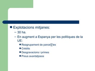 Explotacions mitjanes: 30 ha. En augment a Espanya per les polítiques de la UE:  Reagrupament de parcel·les Crédits Desgravacions i primes Preus avantatjosos 