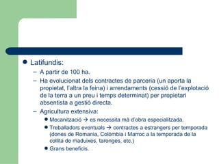 Latifundis: A partir de 100 ha. Ha evolucionat dels contractes de parceria (un aporta la propietat, l’altra la feina) i arrendaments (cessió de l’explotació de la terra a un preu i temps determinat) per propietari absentista a gestió directa. Agricultura extensiva: Mecanització    es necessita mà d’obra especialitzada. Treballadors eventuals    contractes a estrangers per temporada (dones de Romania, Colòmbia i Marroc a la temporada de la collita de maduixes, taronges, etc.) ‏ Grans beneficis. 