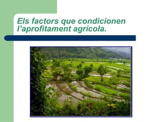 Els factors que condicionen l’aprofitament agrícola. 