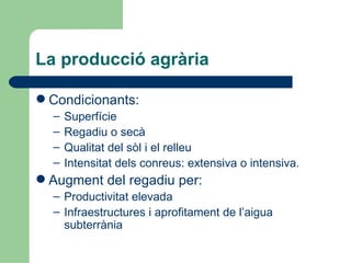 La producció agrària Condicionants: Superfície Regadiu o secà Qualitat del sòl i el relleu Intensitat dels conreus: extensiva o intensiva. Augment del regadiu per: Productivitat elevada Infraestructures i aprofitament de l’aigua subterrània 