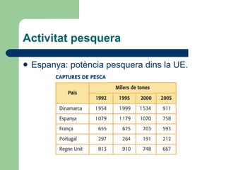 Activitat pesquera Espanya: potència pesquera dins la UE.  