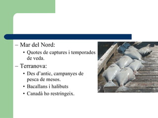 Mar del Nord:  Quotes de captures i temporades de veda. Terranova: Des d’antic, campanyes de pesca de mesos. Bacallans i halibuts Canadà ho restringeix. 