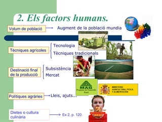 2. Els factors humans. Volum de població    Tècniques agrícoles   Destinació final  de la producció   Polítiques agràries   Augment de la població mundial  Tecnologia   Tècniques tradicionals   Subsistència   Mercat  Lleis, ajuts...   Dietes o cultura culinària Ex 2, p. 120. 