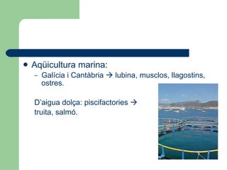 Aqüicultura marina: Galícia i Cantàbria    lubina, musclos, llagostins, ostres. D’aigua dolça: piscifactories     truita, salmó. 