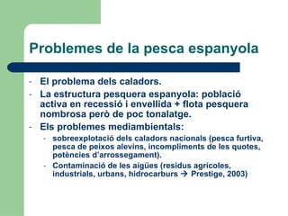 Problemes de la pesca espanyola El problema dels caladors. La estructura pesquera espanyola: població activa en recessió i envellida + flota pesquera nombrosa però de poc tonalatge.  Els problemes mediambientals:  sobreexplotació dels caladors nacionals (pesca furtiva, pesca de peixos alevins, incompliments de les quotes, potències d’arrossegament). Contaminació de les aigües (residus agrícoles, industrials, urbans, hidrocarburs    Prestige, 2003) 