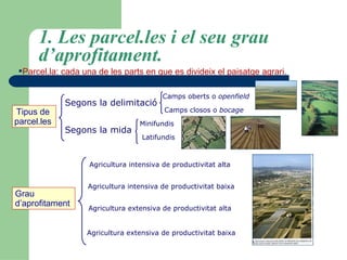 1. Les parcel.les i el seu grau d’aprofitament. Parcel.la: cada una de les parts en que es divideix el paisatge agrari. Tipus de  parcel.les  Segons la delimitació   Segons la mida   Camps oberts o  openfield   Camps closos o  bocage   Minifundis   Latifundis   Grau  d’aprofitament  Agricultura intensiva de productivitat alta Agricultura extensiva de productivitat baixa Agricultura extensiva de productivitat alta Agricultura intensiva de productivitat baixa 
