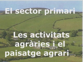 11
El sector primari
Les activitats
agràries i el
paisatge agrari 1
 