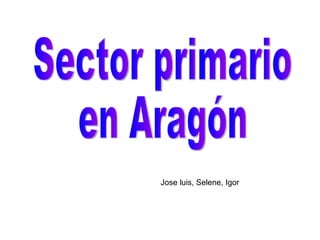 Sector primario en Aragón Jose luis, Selene, Igor 