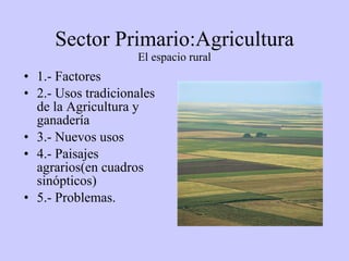 Sector Primario:Agricultura El espacio rural ,[object Object],[object Object],[object Object],[object Object],[object Object]