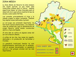 ZONA MEDIA La Zona Media de Navarra ha sido siempre una región agrícola, ya que reúne unas condiciones buenas para el cultivo:  amplias superficies llanas, un clima favorable para el desarrollo de la agricultura mediterrá-nea de secano y unos suelos fértiles. Los cereales , principalmente el trigo y la cebada ocupan la mayor extensión. También hay amplias zonas dedicadas al girasol. La vid  ocupa una extensión importante. Se han hecho nuevas plantaciones, y se elaboran vinos de calidad que, bajo la denominación de origen Navarra, están siendo reconocidos dentro y fuera de España. El olivo  sólo se cultiva en algunas zonas del sur de la Navarra Media. A orillas de los ríos, hay zonas de regadío, dedicadas a la producción de hortalizas y frutales. La ganadería  tradicional familiar ha sido progresivamente sustituida por la estabula-ción en granjas mecanizadas. La ganadería porcina y las granjas avícolas son las más importantes.  OLIVO GANADO AVÍCOLA VID  CEREAL GANANO PORCINO PARA  SABER  MÁS MONOGRAFÍA 1. EL CERDO MONOGRAFÍA 2. EL P0LLO 