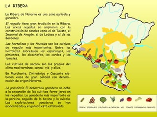 LA  RIBERA La Ribera de Navarra es una zona agrícola y ganadera.  El regadío  tiene gran tradición en la Ribera. Las áreas regadas se ampliaron con la construcción de canales como el de Tauste, el Imperial de Aragón, el de Lodosa y el de las Bardenas.  Las hortalizas y los frutales  son los cultivos de regadío más importantes. Entre las hortalizas sobresalen los espárragos, los pimientos, las alcachofas, los cardos y los tomates. Los cultivos de secano son los propios del clima meditarráneo: cereal, vid  y olivo. En Murchante, Cintruénigo y Cascante ela-boran vinos de gran calidad con denomi-nación de origen Navarra. La ganadería . El desarrollo ganadero se debe a la expansión de los cultivos forra-jeros en los regadíos. La ganadería más importante es la porcina, seguida de la bovina y la avícola. Las explotaciones ganaderas se han modernizado y el ganado está estabulado.  CEREAL  FORRAJES   FRUTALES  ALCACHOFA  VID  TOMATE  ESPARRAGO  PIMIENTO 