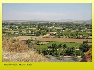 REGADÍOS  DE  LA  MEJANA.  Tudela 