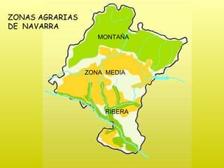 ZONAS AGRARIAS  DE  NAVARRA MONTAÑA ZONA  MEDIA RIBERA 