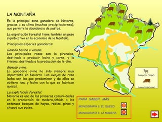 GANADO  OVINO  GANADO BOVINO LA MONTAÑA Es la principal zona ganadera de Navarra, gracias a su clima (muchas precipitacio-nes), que permite la abundancia de pastos.  La explotación forestal tiene también un peso significativo en la economía de la Montaña. Principales especies ganaderas: Ganado bovino o vacuno.   Las principales razas son la pirenaica, destinada a producir leche y carne, y la frisona, destinada a la producción de le-che. Ganado ovino. La ganadería ovina ha sido siempre muy importante en Navarra. Las ovejas de raza lacha son las que predominan y de ellas se obtiene lana y leche con la que se fabrican quesos. La explotación forestal. Navarra es una de las primeras comuni-dades en la producción de madera,debido a los extensos bosques de hayas, robles, pinos y chopos que posee.  PARA  SABER  MÁS MONOGRAFÍA 5. EL QUESO MONOGRAFÍA 8. LA MADERA 