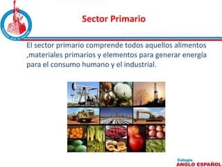 Sector Primario 
El sector primario comprende todos aquellos alimentos 
,materiales primarios y elementos para generar energía 
para el consumo humano y el industrial. 
 