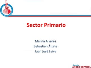 Sector Primario 
Melina Alvares 
Sebastián Álzate 
Juan José Leiva 
 