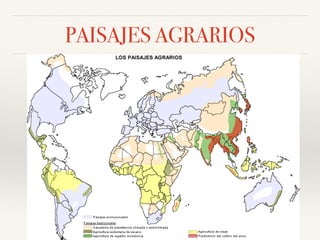 PAISAJES AGRARIOS
 