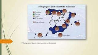 Principales flotas pesqueras en España
 