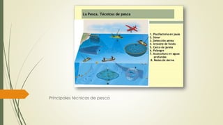 Principales técnicas de pesca
 