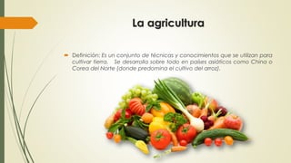 La agricultura
 Definición: Es un conjunto de técnicas y conocimientos que se utilizan para
cultivar tierra. Se desarrolla sobre todo en países asiáticos como China o
Corea del Norte (donde predomina el cultivo del arroz).
 